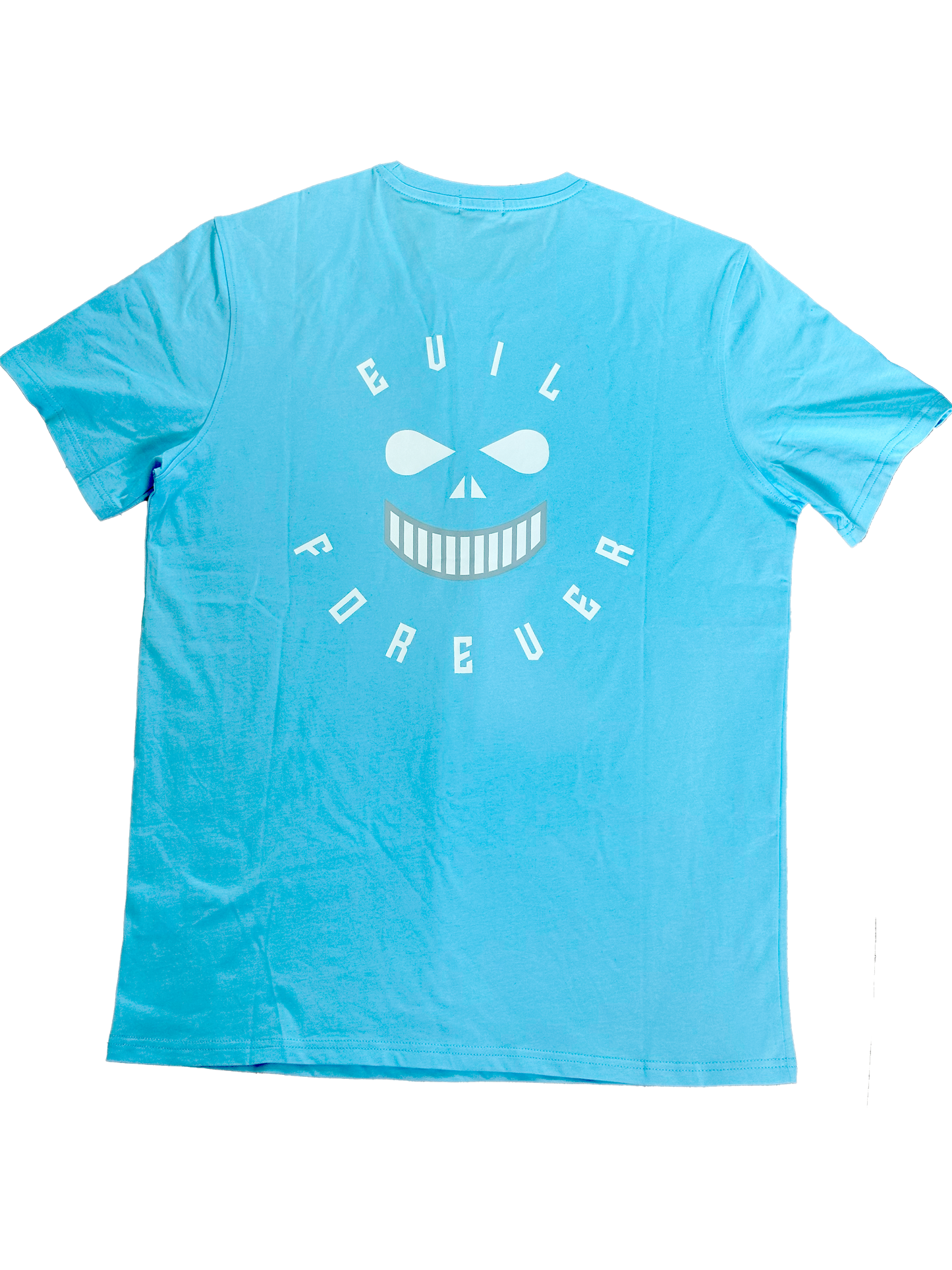 Baby Blue " Nothing Last Forever " TEE
