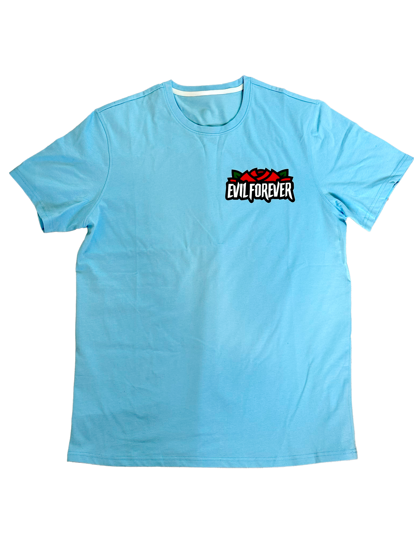 Baby Blue " Nothing Last Forever " TEE
